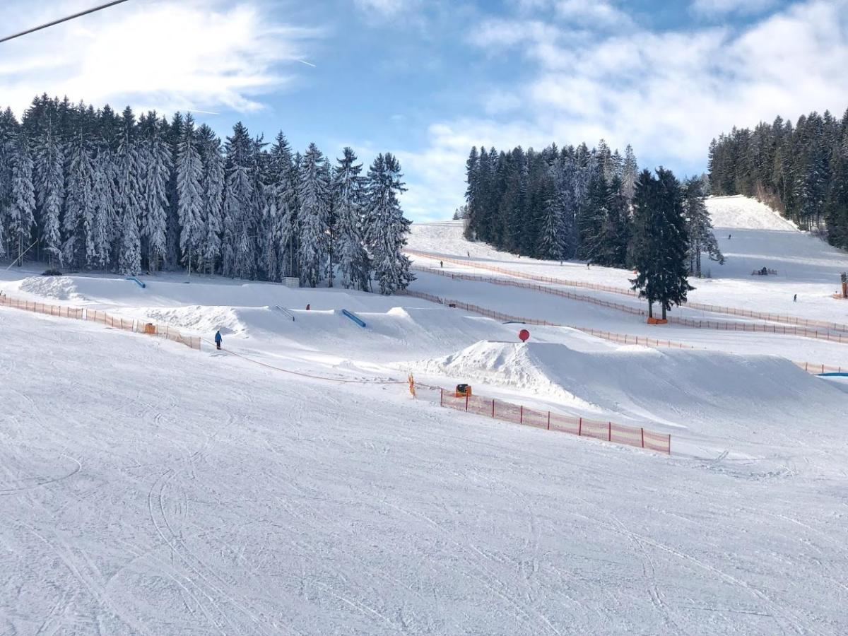 Fontana Lipno Otel Černá v Pošumaví Dış mekan fotoğraf