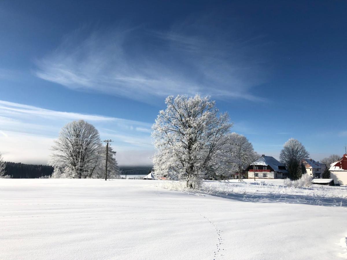 Fontana Lipno Otel Černá v Pošumaví Dış mekan fotoğraf