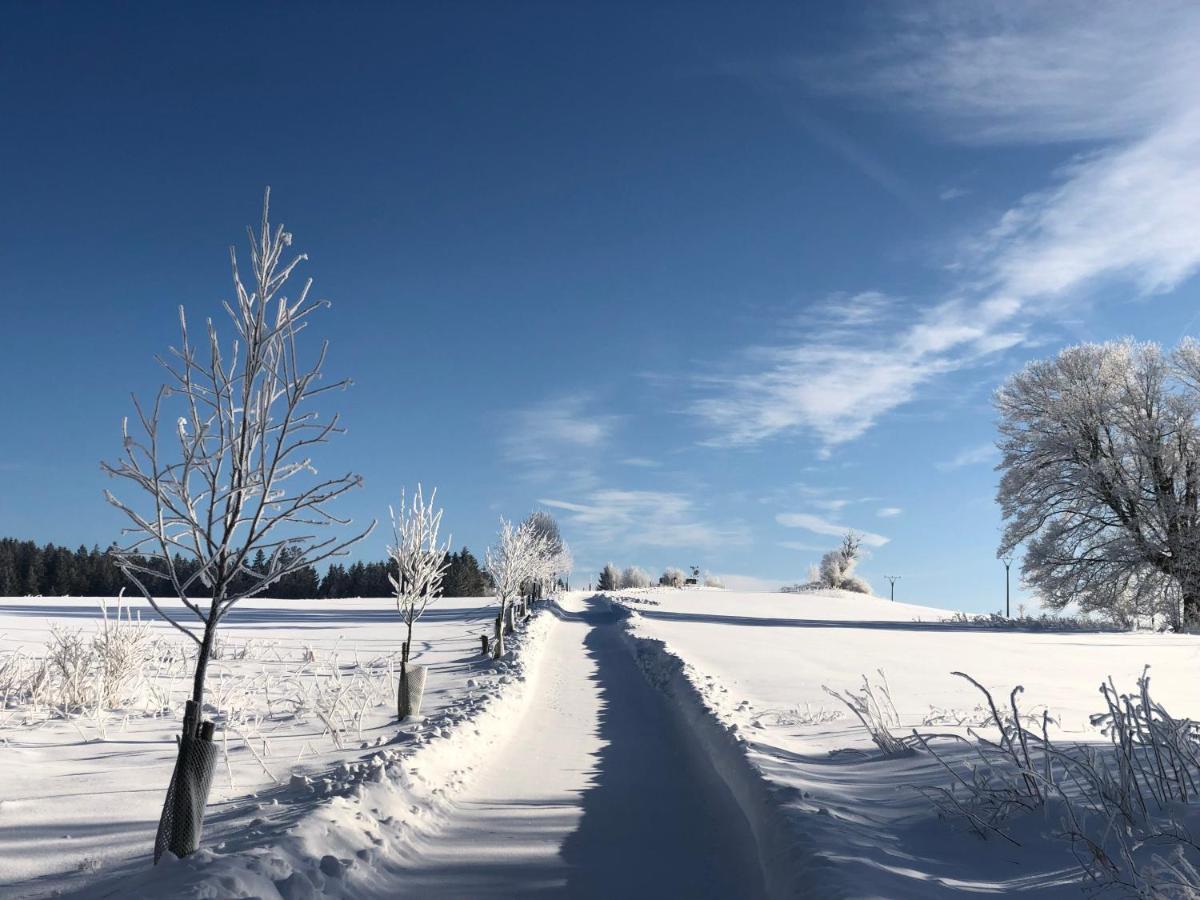 Fontana Lipno Otel Černá v Pošumaví Dış mekan fotoğraf